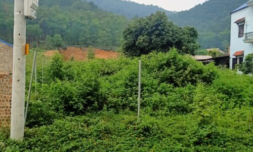 Bán đất 1ha gần hồ Hàm Lợn, Nam Sơn – Sóc Sơn, giá 4tr/m2