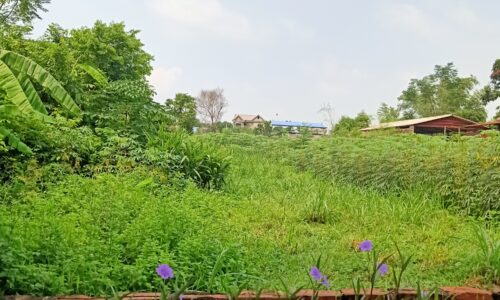 Bán đất thôn Phú Thịnh xã Minh Phú . 720 m 400 m thổ cư giá 3tr700