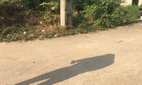 Chính chủ bán đất Phú Nghĩa, Minh Phú, Sóc Sơn, diện tích 500m2 200m2 đất ở, giá 16,x tr/m2