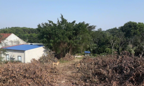 Bán đất Đô Lương – Bắc Sơn – Sóc Sơn 16 sào, 3xx tr/sào, 400m2 đất ở