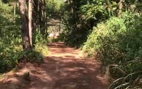 Bán đất rừng tại Minh Phú – Sóc Sơn – Hà Nội 23,000m2 giá 2,x tr/m2