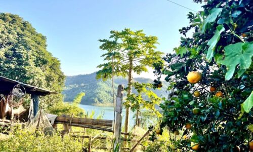 Bán 15000m2 đất Bình Thanh – Kỳ Sơn – Hòa Bình, 400m2 thổ cư, giá 14,x tỷ