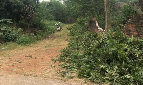 Bán đất Phú Thịnh – Minh Phú – Sóc Sơn – Hà Nội, diện tích 1445m2 đất ở, giá 4,x tr/m2