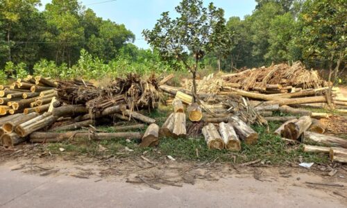 Bán 1579m2 đất Đô Lương, Bắc Sơn, Sóc Sơn, Hà Nội, 1200m2 thổ cư, 15x tr/m dài