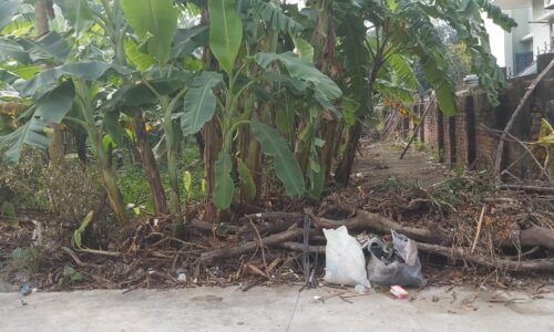 Chính chủ bán đất phân lô Tân Trại – Phú Cường – Sóc Sơn – Hà Nội, diện tích 50m2 – 80m2, giá 13,x tỷ – 15,x tỷ