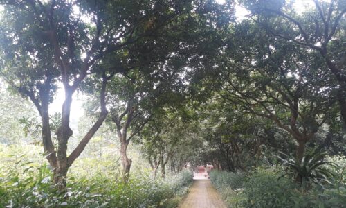 Bán đất  Phù Linh – Sóc Sơn – Hà Nội, diện tích 10000m2, giá 13,x tỷ