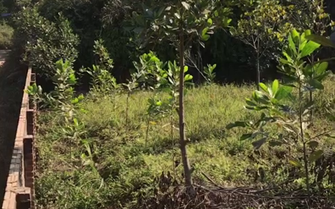 Bán đất Đô Lương – Bắc Sơn – Sóc Sơn – Hà Nội 3126.3 m2, 1200m2 thổ cư giá 3,x tr/m2