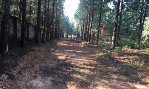 Chính chủ bán đất Lâm Trường – Minh Phú – Sóc Sơn, diện tích 5292m2, 600m2 đất ở, giá 5,x tr/m2