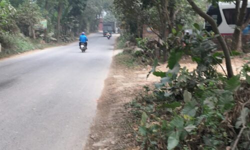 Chính chủ bán 424m2 mặt đường 35, giá nhỉnh 10tr/m2