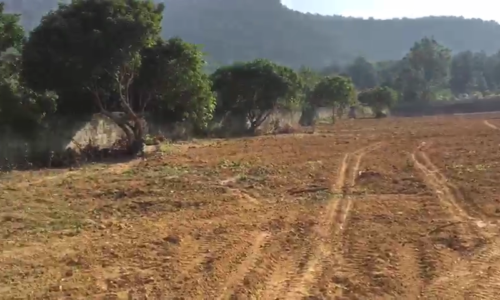 Bán đất Lâm Trường – Minh Phú – Sóc Sơn, 2498m2 giá 6,x tr/m2, 600m2 đất ở