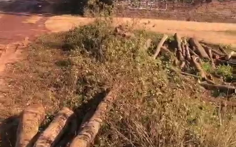 Bán đất Phú Nghĩa, Minh Phú, Sóc Sơn 1400m2, 400m2 đất ở, giá 8,x tr/m2