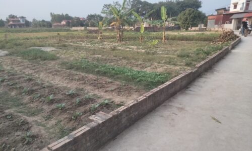 Bán đất Gờ Gạo, Sóc Sơn, Hà Nội, diện tích 1196m2 có 400m2 đất ở, giá 6,x tr/m2