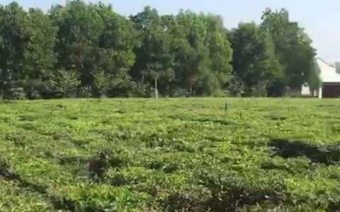 Bán đất hồ Cầu Bãi – Phúc Xuân – Bắc Sơn – Sóc Sơn 8332.2m2, giá 14x tr/m2