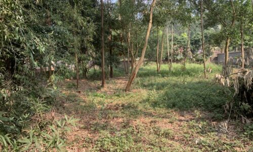 Bán đất Minh Phú, Sóc Sơn, Hà Nội, diện tích 1000m2 , 200m2 thổ cư, giá 8tr/m2