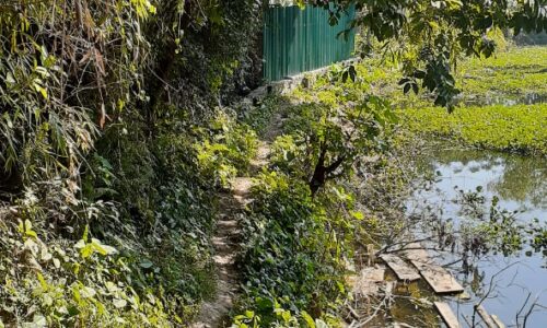 Bán đất thôn Vệ Linh – xã Phù Linh – huyện Sóc Sơn – Hà Nội 312.3m2 đất ở giá 10,x tr/m2