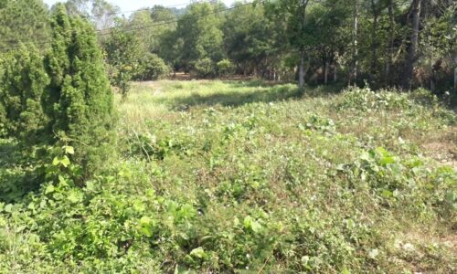 Bán đất thôn Lâm Nghiệp – xã Minh Phú – huyện Sóc Sơn, 3500m2 giá 4,x tr/m2 , 600m2 đất ở