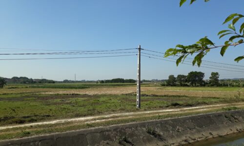 Bán đất ruộng Minh Phú – Sóc Sơn, 7000m2 đã chuyển đổi, 1,x tr/m2