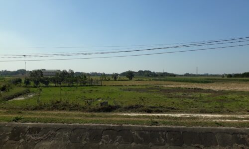 Bán đất ruộng Minh Phú – Sóc Sơn, 3 sào chưa chuyển đổi, 2xx tr/sào