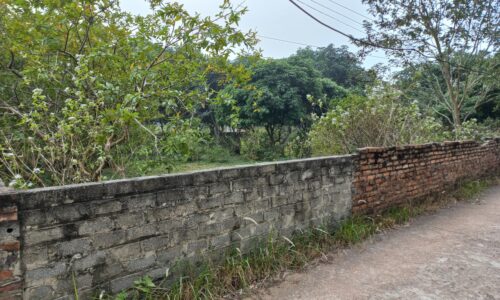 Bán đất Minh Phú – Sóc Sơn – Hà Nội – diện tích 1800m2, 400m2 đất ở, giá 6,x tr/m2