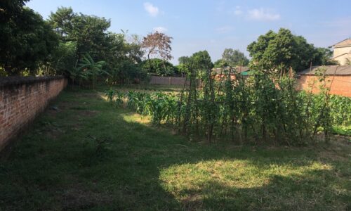 Bán đất Thái Lai – Minh Trí – Sóc Sơn, diện tích 1080m2, 400m2 đất ở, giá 5,x triệu/m2