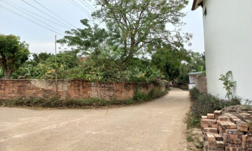 Bán đất Phú Thịnh, Minh Phú, Sóc Sơn diện tích 1191m2, giá 6,x tr/m2