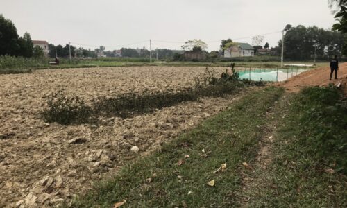 🔥Chính chủ bán 4000m2 tại Bắc Sơn giá chỉ nhỉnh 1 triệu/m2