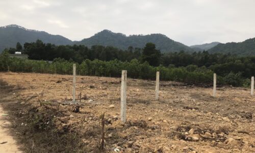 🔥Chính chủ bán 1400m2 tại Đô Lương, Bắc Sơn giá chỉ 2,x triệu/m2