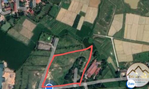 🔥Chính chủ bán mảnh đất 8000m2 gần đường 14 giá 2,x triệu/m2