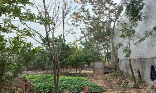 Chính chủ bán 300m2 mặt đường 35, giá chỉ 17,x triệu/m2