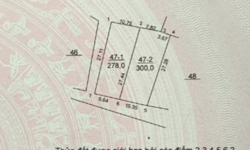 Thêm một hoa hậu 300m2 full thổ cư hai mặt đường nữa tại Thắng Trí – Minh Trí – Sóc Sơn giá chỉ 10,x tr/m2