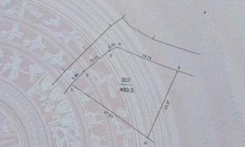 Bán lô góc 480m2 tại Thái Lai – Minh Trí – Sóc Sơn giá chỉ 9,x tr/m2