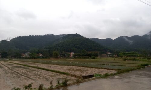 Bán mảnh đất 688m tại Thanh Hà – Nam Sơn – Sóc Sơn giá chỉ 5,x tr/m2