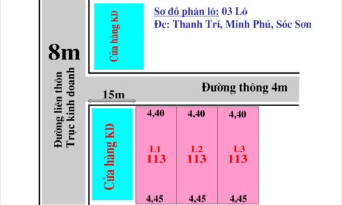 Chính chủ bán mảnh đất 113m2 tại Thanh Trí – Minh Phú – Sóc Sơn giá 11,x tr/m2
