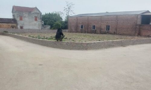 Bán siêu phẩm lô góc 815m2 tại Phú Cường – Minh Phú – Sóc Sơn giá 10,x tr/m2