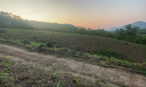 Siêu phẩm nghỉ dưỡng 2ha tại xã Xuân Thủy, huyện Yên Lập, tỉnh Phú Thọ giá chỉ 2,x tỷ