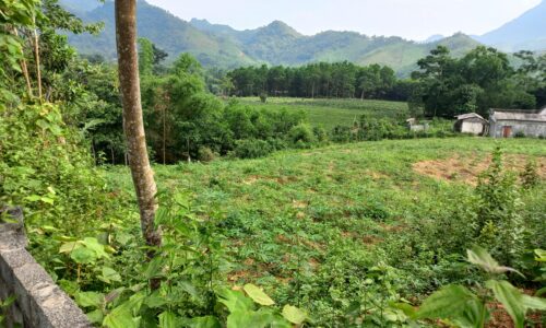 BĐS nghỉ dưỡng Yên Lập Phú Thọ 2500m2 view siêu đẹp chỉ 8xx triệu 0988092745