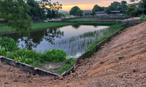 BĐS gần khu công nghiệp 1373m2 tại huyện Cẩm Khê – Phú Thọ giá 7xx triệu 0988092745