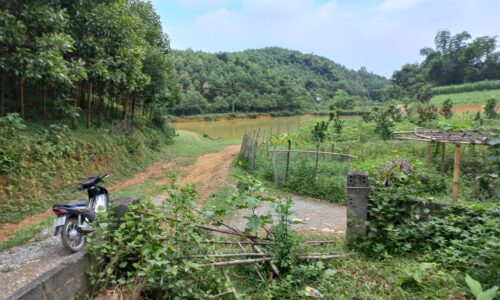 1963m2 tại huyện Yên Lập, tỉnh Phú Thọ giá 8xx triệu 0988092745