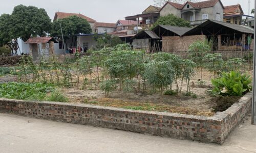 Bán lô đất sát chợ Thanh Trí, Minh Phú, Sóc Sơn,Hà Nội giá rẻ bất  ngờ